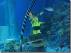 Sea-Life Aquarium Lego Theming