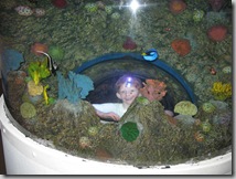 Sea-Life Aquarium Kid Dome in Tank