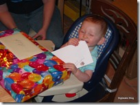 Andy's First Birthday Party