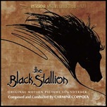 The Black Stallion The Black Stallion