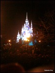 Walt Disney World Castle - Taken with Palm Pre