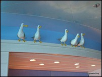 Seagulls at Cabanas